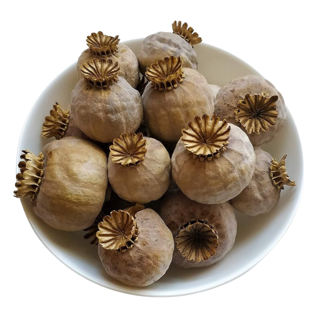 dried poppy pods for sale online - Buy dried poppy pods Online