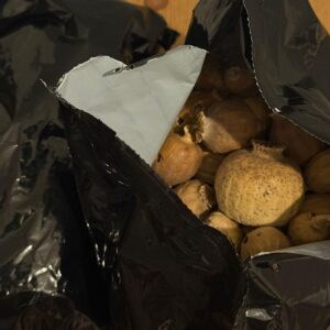 dried poppy pods austria​