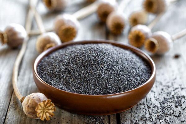 Papaver seeds