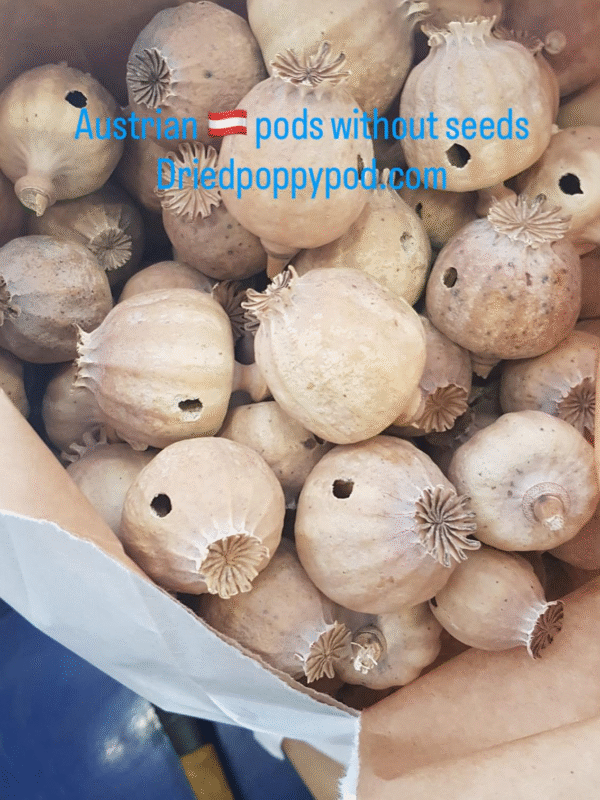 Austrian Poppy Pods without Seeds