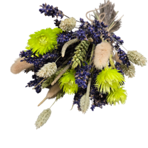 Bouquet of dried flowers Lavender Green