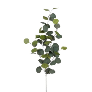 Eucalyptus Artificial Branch