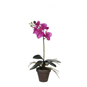 Butterfly Orchid Artificial Plant