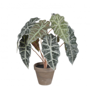 Giant Taro Alocasia Artificial Plant