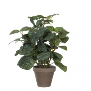 Pilea Artificial Plant