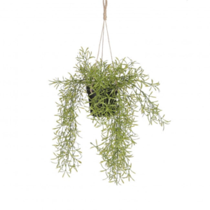 Rhipsalis Hanging Artificial Plant