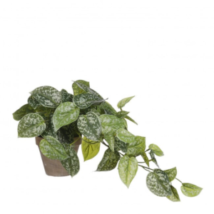 Epipremnum Artificial Plant with Pot