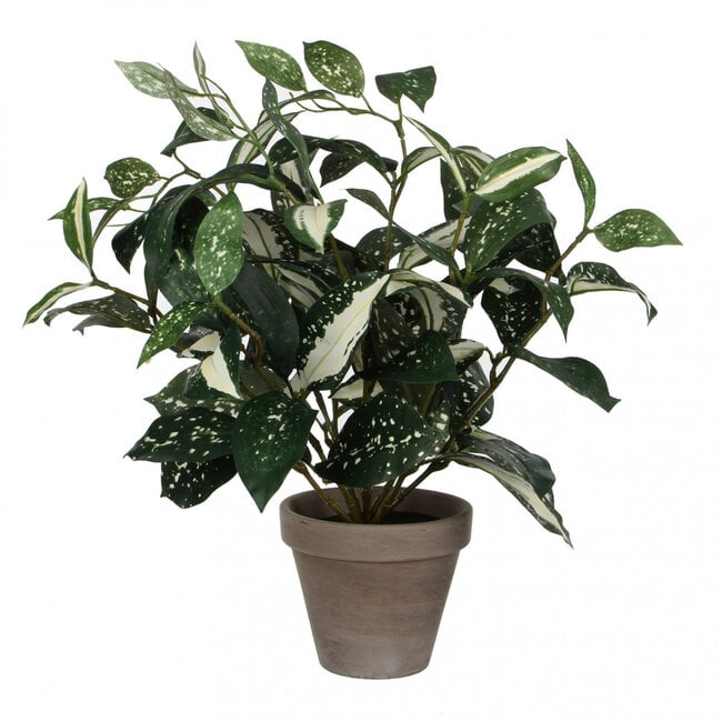 Cod Tail Artificial Plant