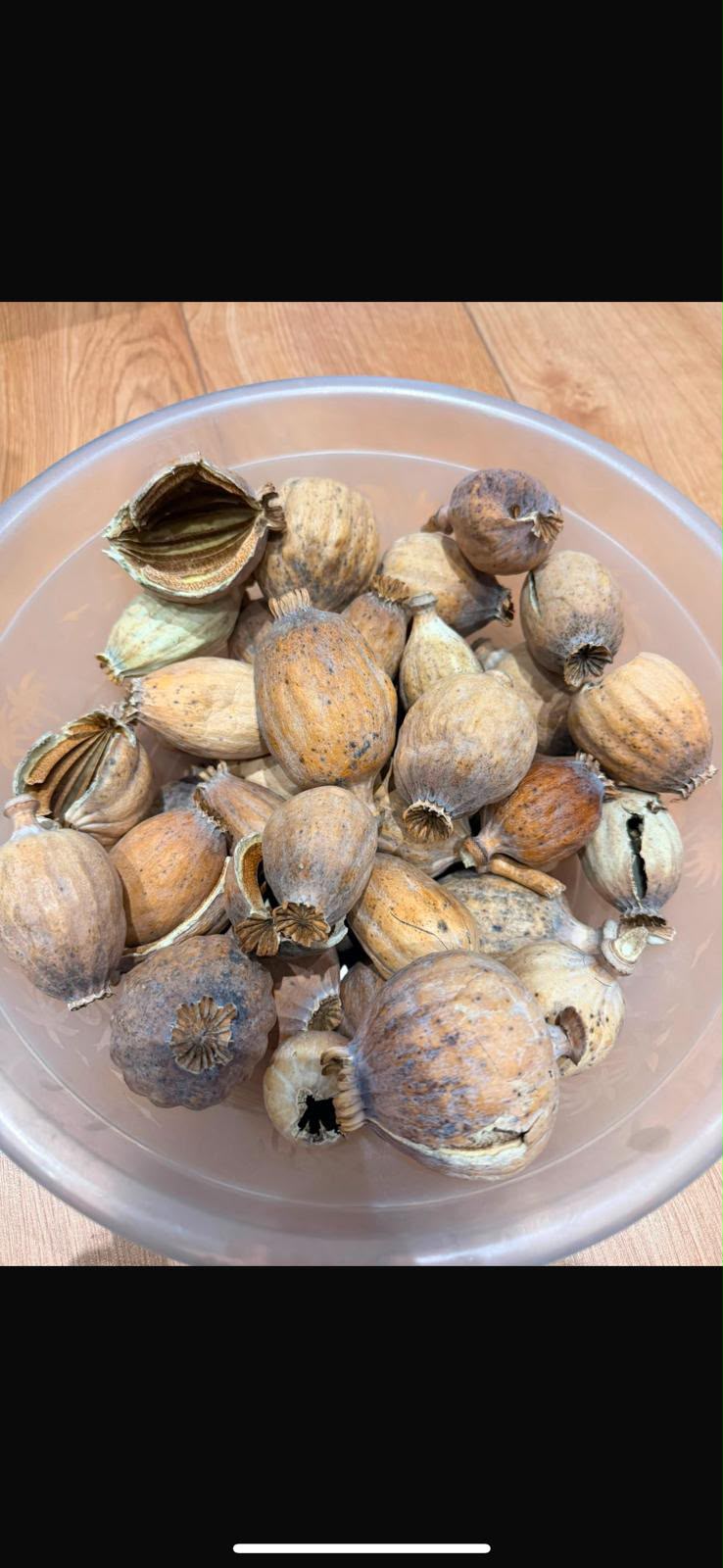 How to preserve dried poppy pods